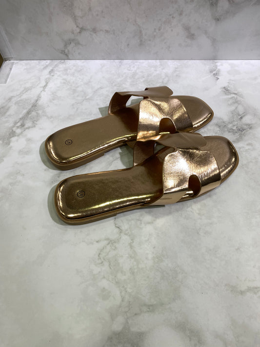 Ciabattina champagne