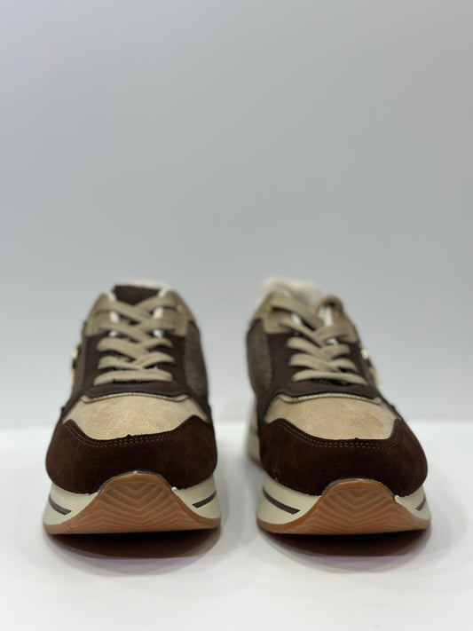 SOFIA - sneakers morrone